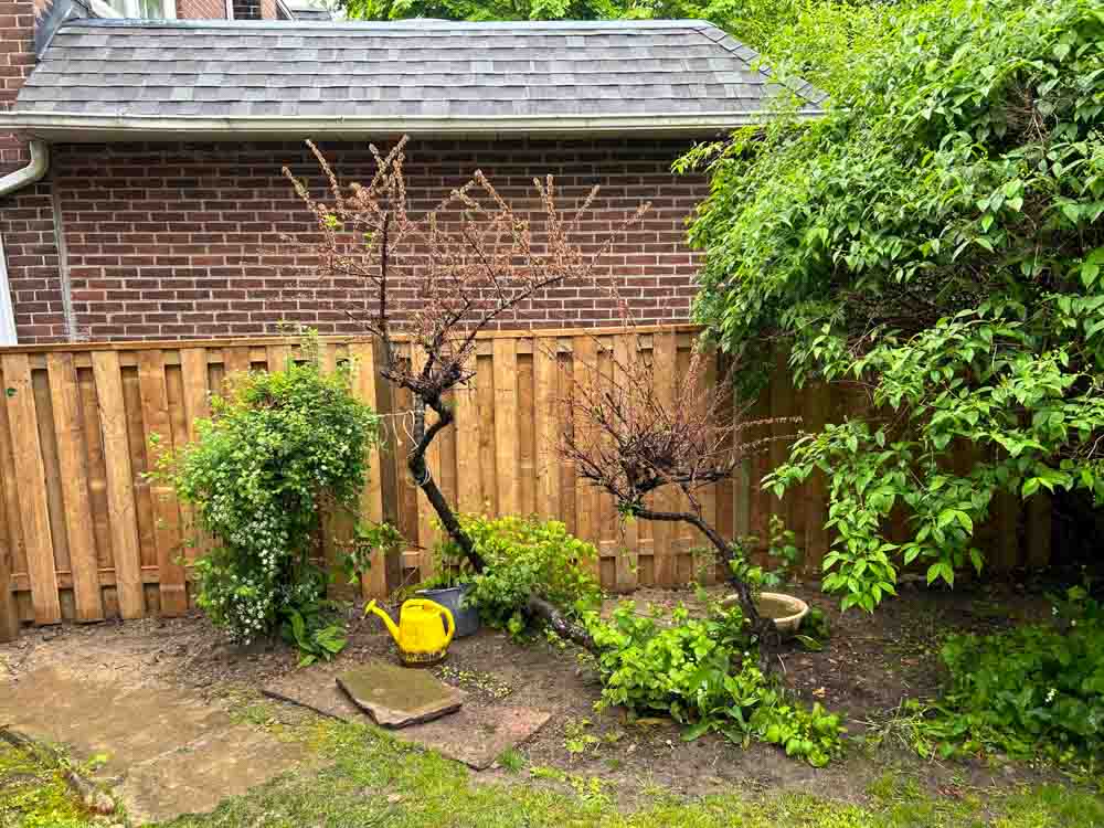 Portfolio-img-17 privacy fence by Kerta Construction