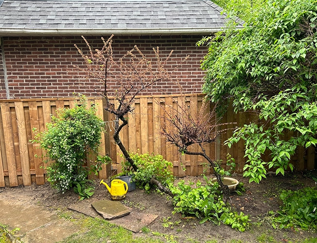 fence maintenance and repair